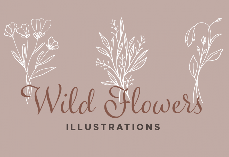 Wildflower Vector Illustrations