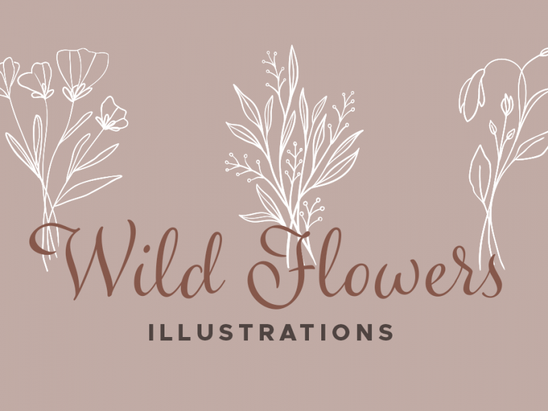 Wildflower Vector Illustrations