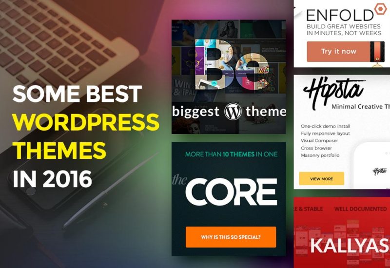 best-wordpress-themes-2016