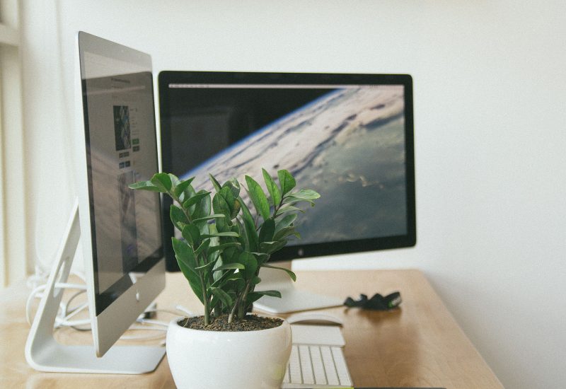 Crafting User-Centric Design for Ecommerce Core Principles and Tactics
