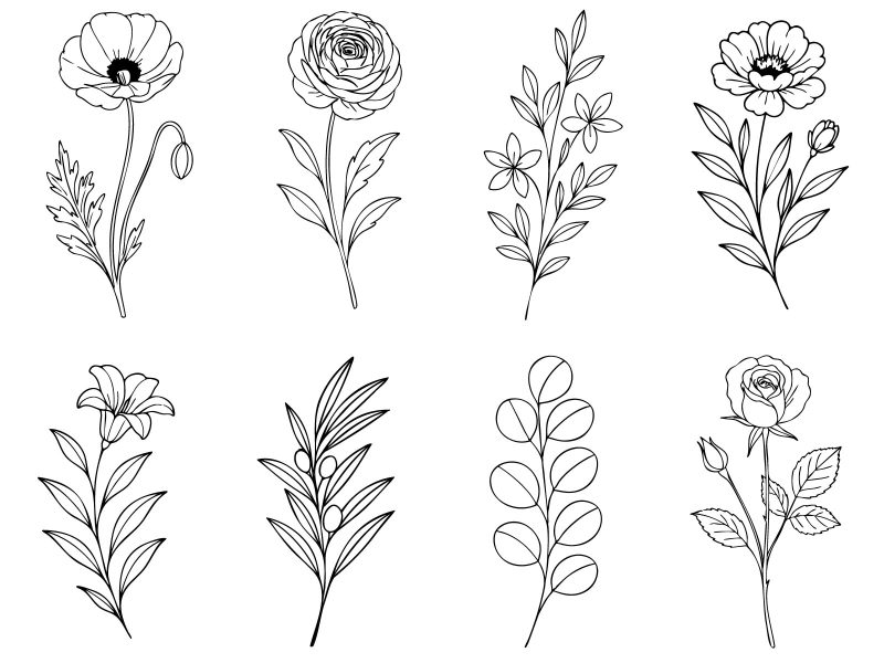 Elegant botanical line art set with minimalist floral and foliage illustrations