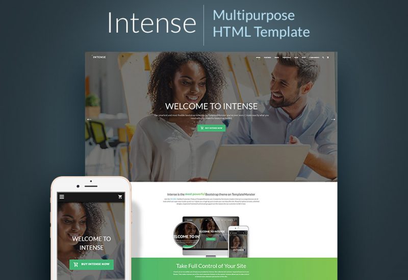 Intense Multipurpose HTML Website Template