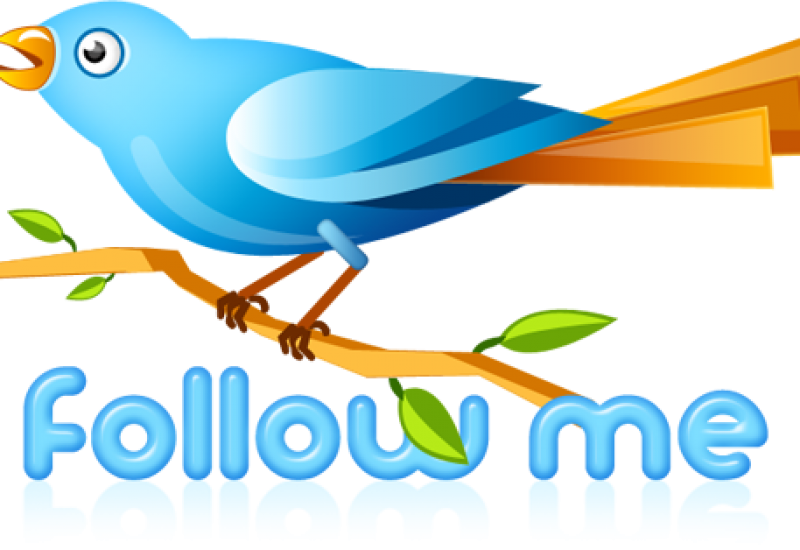 twitter-bird-followme-512