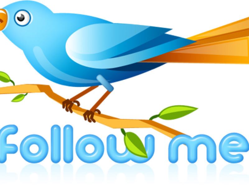 twitter-bird-followme-512